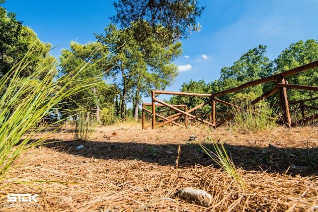 Riserva Naturale Bosco Selva Alberobello
